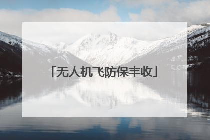 无人机飞防保丰收