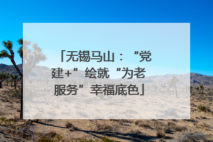 无锡马山：“党建+”绘就“为老服务”幸福底色