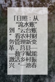 日照：从“流水账”到“云台账”看农村财务管理新变革，莒县——数字赋能激活乡村振兴“一池春水”