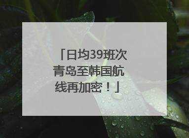 日均39班次 青岛至韩国航线再加密！