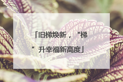 旧梯焕新，“梯”升幸福新高度