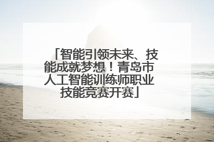 智能引领未来、技能成就梦想！青岛市人工智能训练师职业技能竞赛开赛