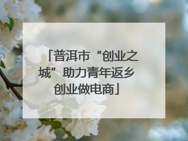 普洱市“创业之城”助力青年返乡创业做电商