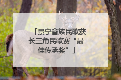 景宁畲族民歌获长三角民歌赛“最佳传承奖”