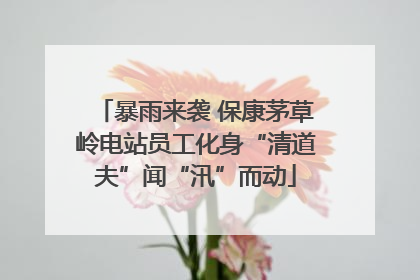 暴雨来袭 保康茅草岭电站员工化身“清道夫”闻“汛”而动