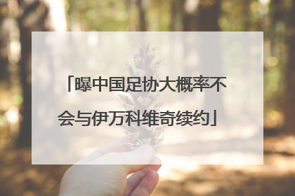 曝中国足协大概率不会与伊万科维奇续约