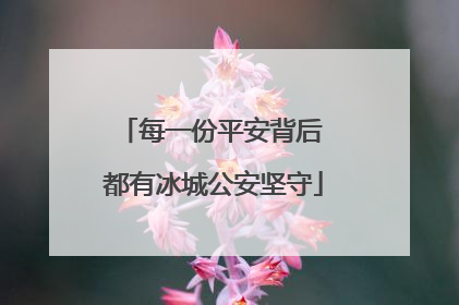 每一份平安背后 都有冰城公安坚守