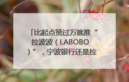 比起点赞过万就推“拉波波（LABOBO）”，宁波银行还是拉业绩吧｜财经辣评