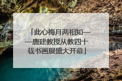 此心梅月两相知——唐建教授从教四十载书画展盛大开幕
