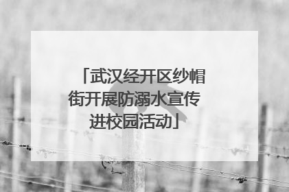 武汉经开区纱帽街开展防溺水宣传进校园活动