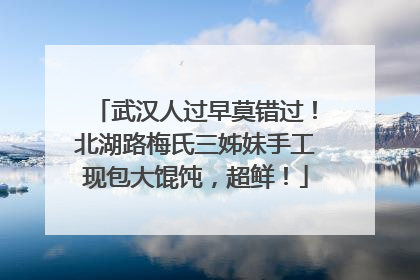 武汉人过早莫错过！北湖路梅氏三姊妹手工现包大馄饨，超鲜！