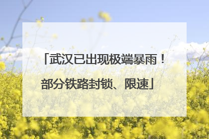武汉已出现极端暴雨！部分铁路封锁、限速