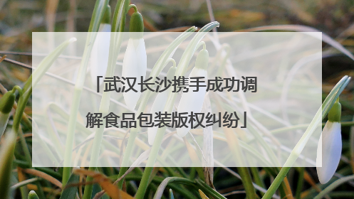 武汉长沙携手成功调解食品包装版权纠纷
