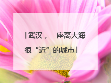 武汉，一座离大海很“近”的城市