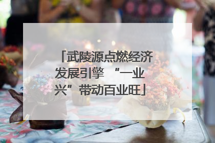 武陵源点燃经济发展引擎 “一业兴”带动百业旺