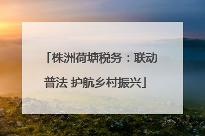 株洲荷塘税务：联动普法 护航乡村振兴