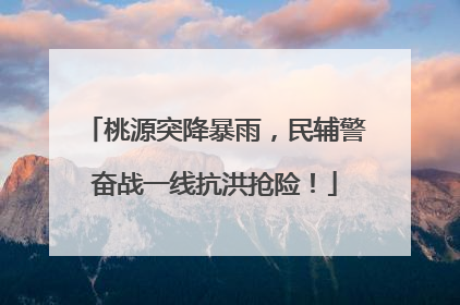 桃源突降暴雨，民辅警奋战一线抗洪抢险！