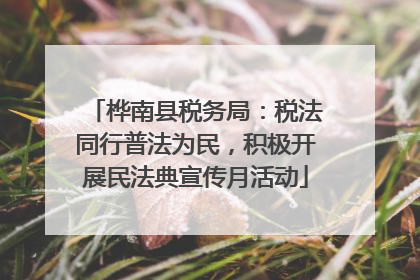 桦南县税务局：税法同行普法为民，积极开展民法典宣传月活动