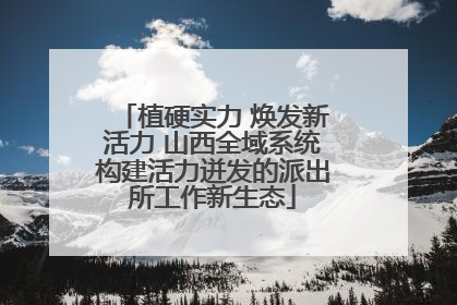 植硬实力 焕发新活力 山西全域系统构建活力迸发的派出所工作新生态