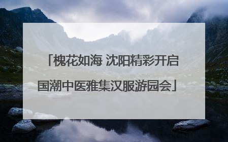 槐花如海 沈阳精彩开启国潮中医雅集汉服游园会
