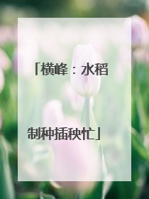 横峰：水稻制种插秧忙
