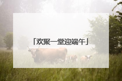 欢聚一堂迎端午