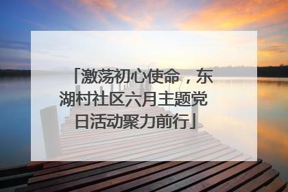激荡初心使命，东湖村社区六月主题党日活动聚力前行