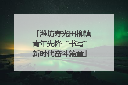 潍坊寿光田柳镇青年先锋“书写”新时代奋斗篇章