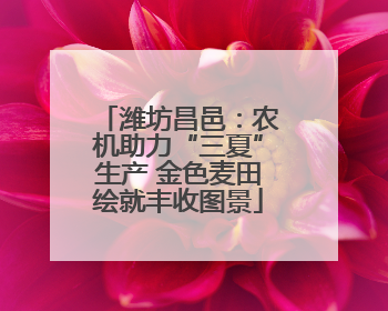 潍坊昌邑：农机助力“三夏”生产 金色麦田绘就丰收图景