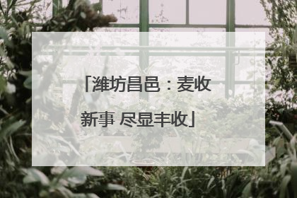 潍坊昌邑：麦收新事 尽显丰收