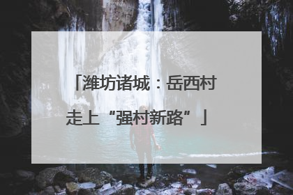 潍坊诸城：岳西村走上“强村新路”