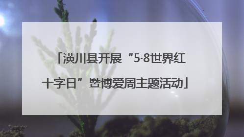 潢川县开展“5·8世界红十字日”暨博爱周主题活动