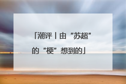 潮评丨由“苏超”的“梗”想到的