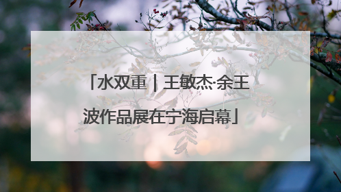 水双重｜王敏杰·余王波作品展在宁海启幕