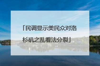 民调显示美民众对洛杉矶之乱看法分裂