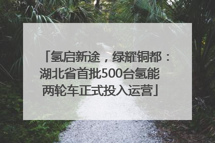 氢启新途，绿耀铜都：湖北省首批500台氢能两轮车正式投入运营