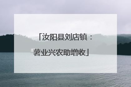 汝阳县刘店镇：薯业兴农助增收