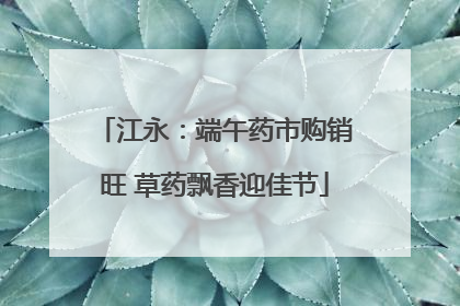 江永：端午药市购销旺 草药飘香迎佳节