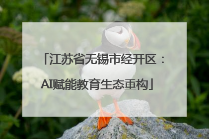 江苏省无锡市经开区：AI赋能教育生态重构