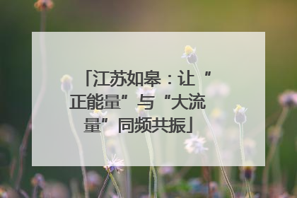 江苏如皋：让“正能量”与“大流量”同频共振