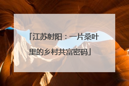 江苏射阳：一片桑叶里的乡村共富密码