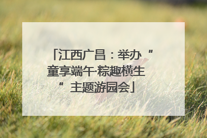 江西广昌：举办“童享端午·粽趣横生”主题游园会