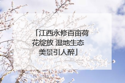 江西永修百亩荷花绽放 湿地生态美景引人醉