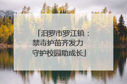 汨罗市罗江镇：禁毒护苗齐发力 守护校园助成长