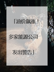油价飙涨！多家能源公司发出警告