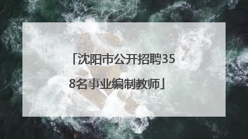 沈阳市公开招聘358名事业编制教师