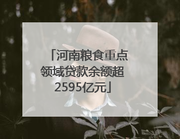 河南粮食重点领域贷款余额超2595亿元