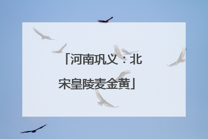 河南巩义：北宋皇陵麦金黄