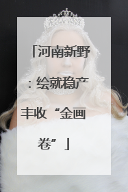 河南新野：绘就稳产丰收“金画卷”