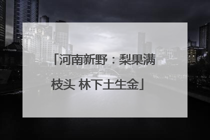 河南新野：梨果满枝头 林下土生金
